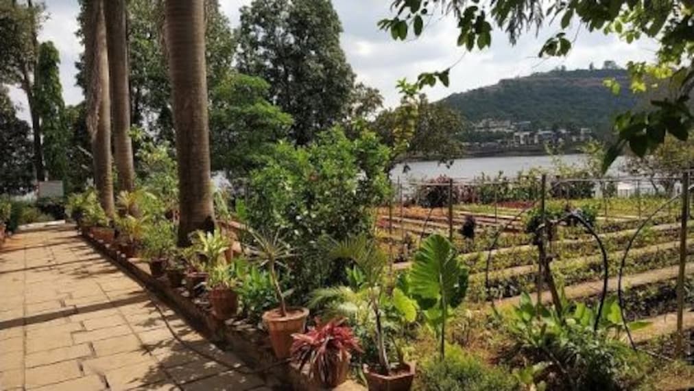 Saputara Forest Nursery-3